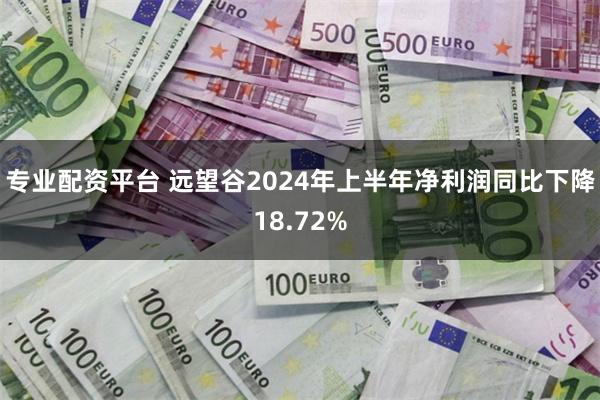 专业配资平台 远望谷2024年上半年净利润同比下降18.72%