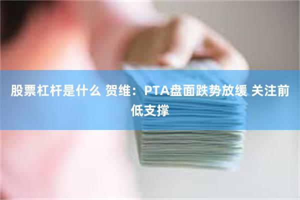 股票杠杆是什么 贺维：PTA盘面跌势放缓 关注前低支撑