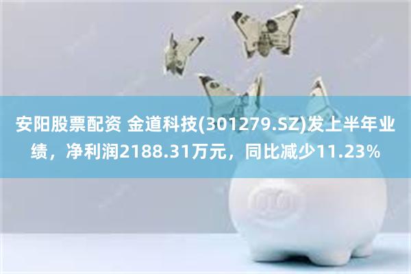 安阳股票配资 金道科技(301279.SZ)发上半年业绩，净利润2188.31万元，同比减少11.23%