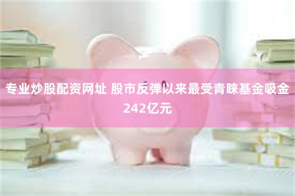 专业炒股配资网址 股市反弹以来最受青睐基金吸金242亿元