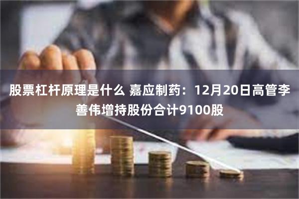 股票杠杆原理是什么 嘉应制药：12月20日高管李善伟增持股份合计9100股