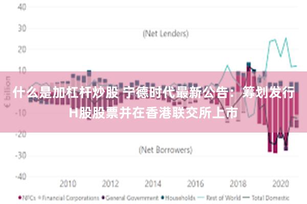 什么是加杠杆炒股 宁德时代最新公告：筹划发行H股股票并在香港联交所上市