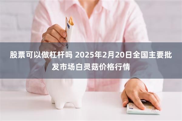 股票可以做杠杆吗 2025年2月20日全国主要批发市场白灵菇价格行情