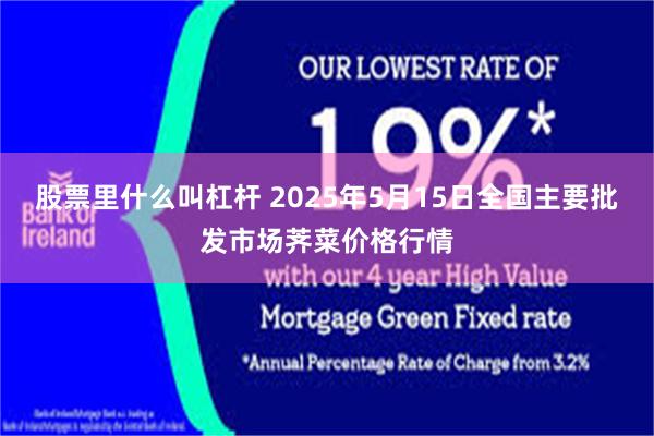 股票里什么叫杠杆 2025年5月15日全国主要批发市场荠菜价格行情